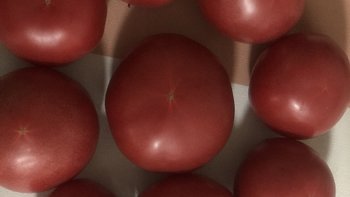 又圆又红又营养的是番茄🍅