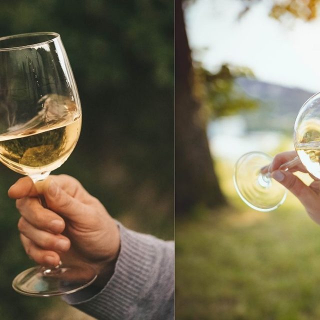 夏天必喝！新世界长相思vs旧世界长相思 到底哪个国家最值