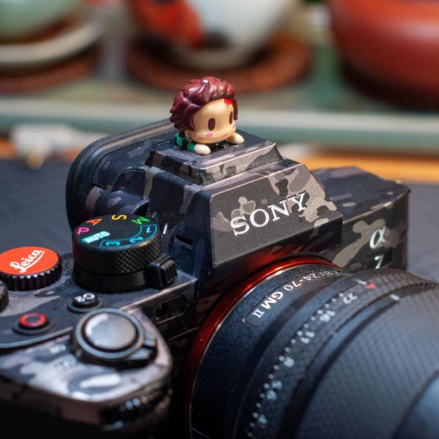 618来了，索尼镜头怎么选？看这篇就够了