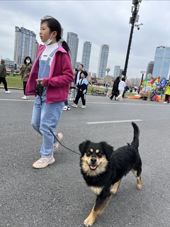 家有汪汪队的看过来！