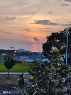 美景