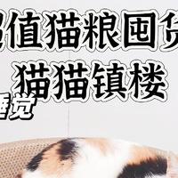 618超值猫粮囤货攻略应有尽有