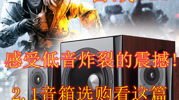 决战618(2)：感受低音炸裂的震撼!2.1音箱选购看这篇就行了，建议收藏备用！