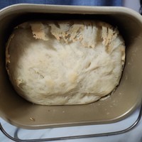 美食 篇三百二十六：面包机新手大馒头实验