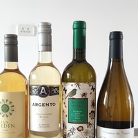 横评四款平价长相思白葡萄酒：品鉴不同产地、风格与年份的美味
