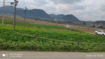 布洛芬片，100片装，4元到手