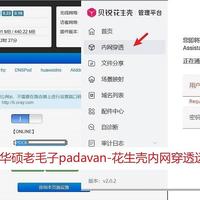 无需公网,50元路由器玩转华硕老毛子padavan-花生壳内网穿透远程访问homeassistant