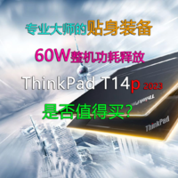 专业大师贴身装备 ThinkPad T14p是否值得买