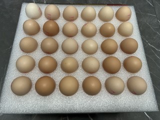 618还没到就囤了90个鸡蛋结果冰箱放不下！