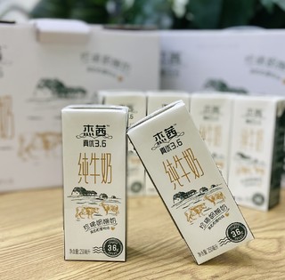 杰茜纯牛奶