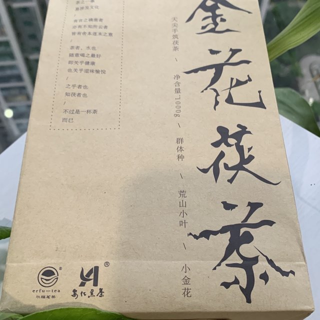 强化身体，从安化黑茶天尖金花茯砖茶开始！