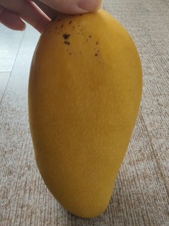 热带水果中，我最喜欢吃的是芒果🥭🥭
