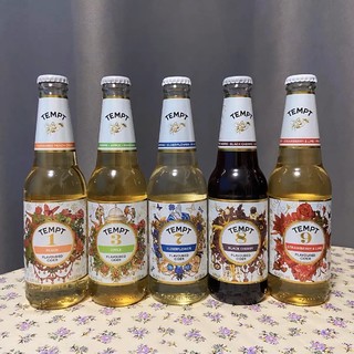 TEMPT CIDER诱惑7号西打低度酒诱惑七号接骨