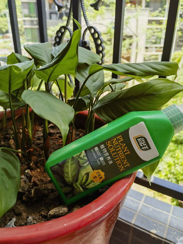 原来还有万年青专用营养液