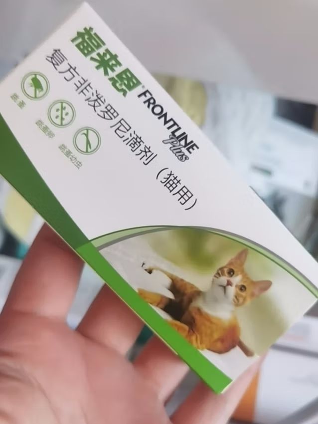 猫咪驱虫