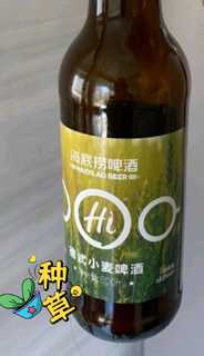 海底捞 德式小麦 精酿啤酒 500ml*12瓶 