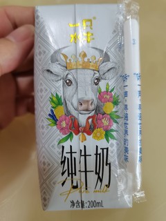 一只水牛