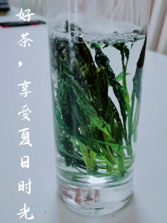 一杯好茶，享受夏日时光