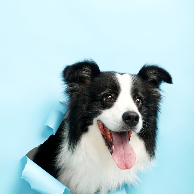 减量不减价还断货的GO！你怎么对得起我