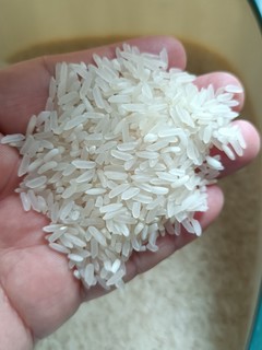 挺实惠的一款米