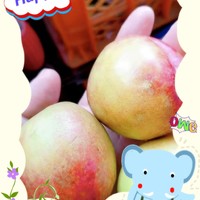 桃子的甜蜜诱惑：一种美味又健康的水果
