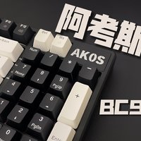 只要199 入门98键盘新选择！AKOS-BC98
