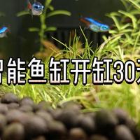 米家智能鱼缸开缸30天报告