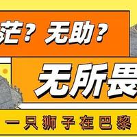 《一只狮子在巴黎》推荐给即将入园的小朋友们，鼓励小朋友们战胜内心的恐惧！