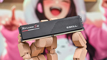 无光风冷装机好选择——芝奇 G.Skill Ripjaws S5 焰刃 DDR5-6400 内存开箱简测