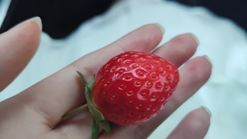 我真的是一个超级喜欢草莓的人！