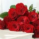 9.9元京东百亿补贴：简值了 多品种玫瑰花随机10支，快快给女友安排上吧！
