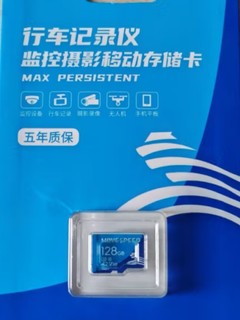内存卡中的国货之光