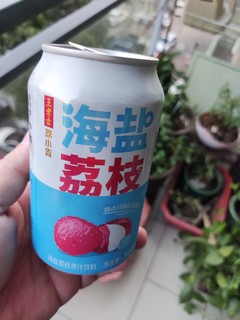 王老吉不只有凉茶，还有海盐荔枝