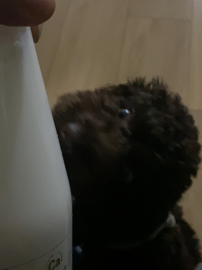 伊利牛奶