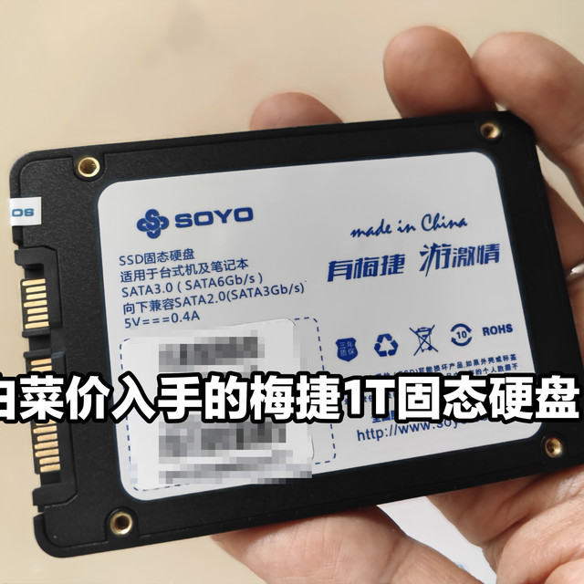 白菜价入手的梅捷1T固态硬盘安全下车