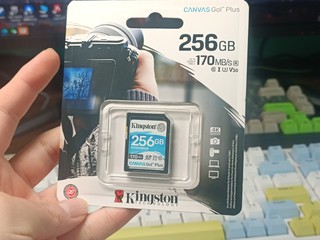 （应该是）最便宜的V30 SD内存卡？