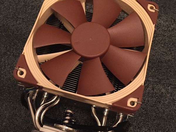 猫头鹰散热，处处都是金钱的味道