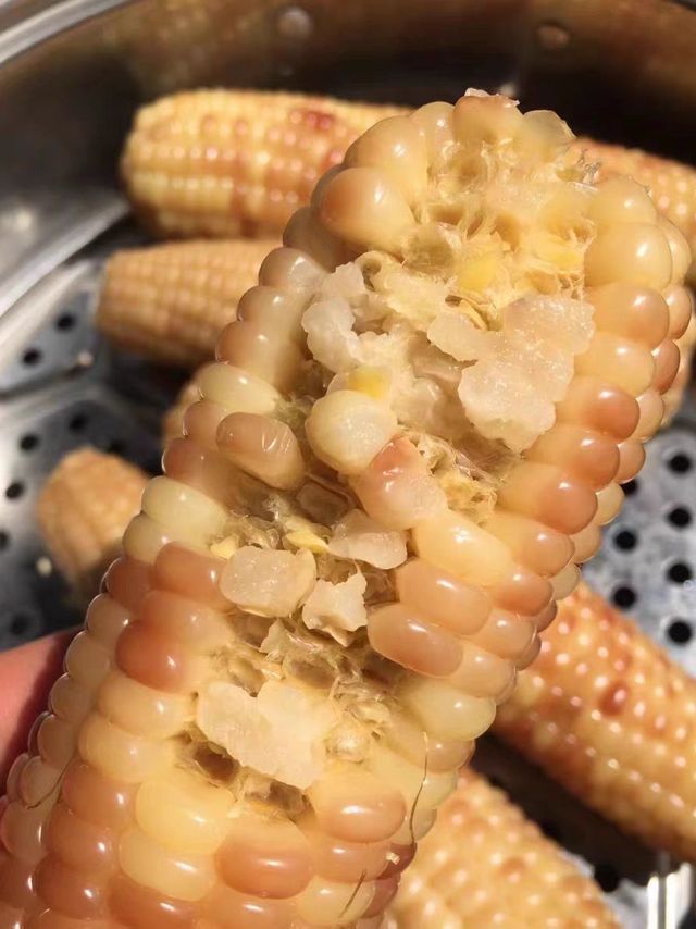 桂薪玉米转煎熬，口体区区不胜劳