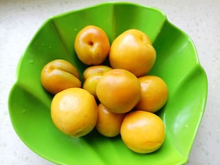 这种杏子好吃吗