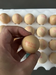 5毛钱的鸡蛋囤了100个结果家里冰箱放不下了