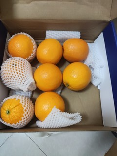 这个橙子🍊挺不赖