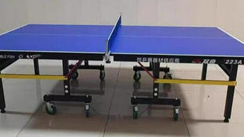 选择双鱼乒乓球桌，畅享乒乓球运动的乐趣吧！