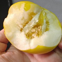 这个夏天必须要尝试的一个水果——香瓜！正是吃香瓜的季节啊！