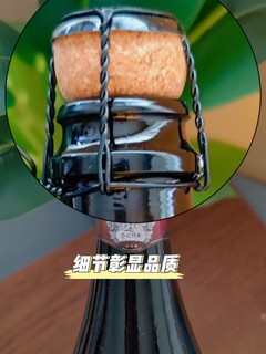 岱记狮舞精酿IPA啤酒，纯原液0勾兑