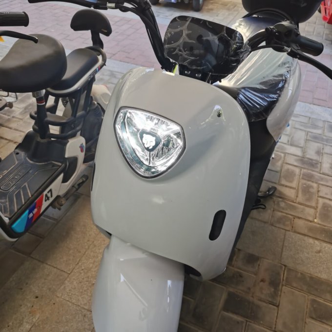 zub 五星钻豹 g1 电动摩托车 zb1200dt-1