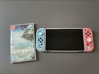 Nintendo任天堂掌机switch