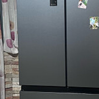 冰箱双系统有必要吗？防串味和控温更好。推荐容声、美的和美菱