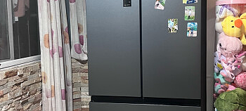 冰箱双系统有必要吗？防串味和控温更好。推荐容声、美的和美菱