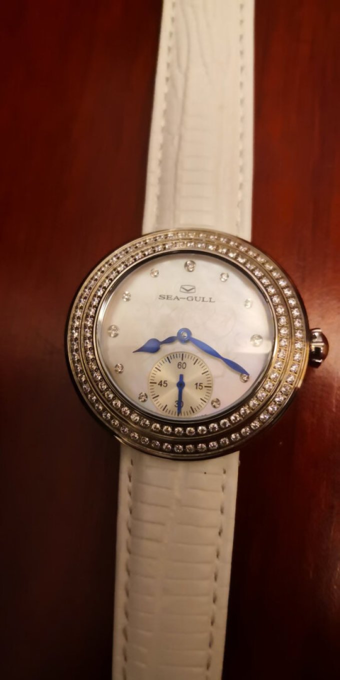 >配饰腕表>手表>女表>女款石英表>笔记详情>2023-06-18 15:46:44海鸥