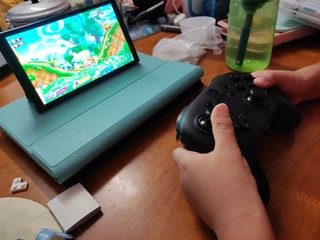 玩Switch还是要手柄